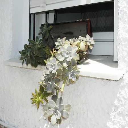 Koukos Cozy Дом отдыха *