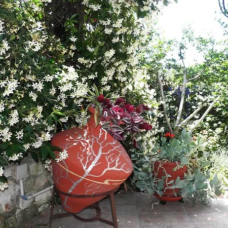Koukos Cozy Дом отдыха *