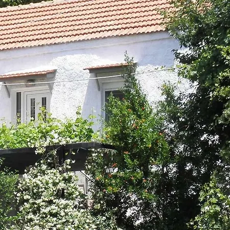Koukos Cozy Dom wakacyjny *